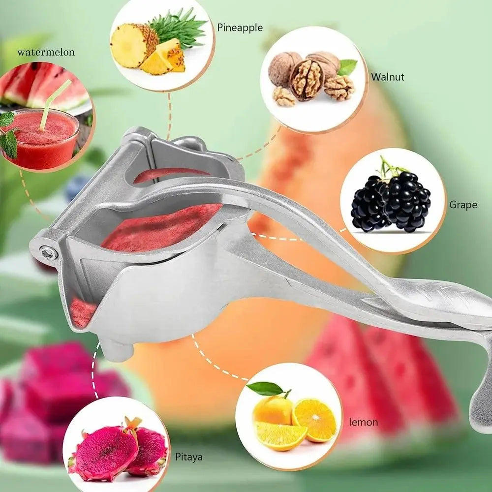 Fruit Press Juicer TrendTekk