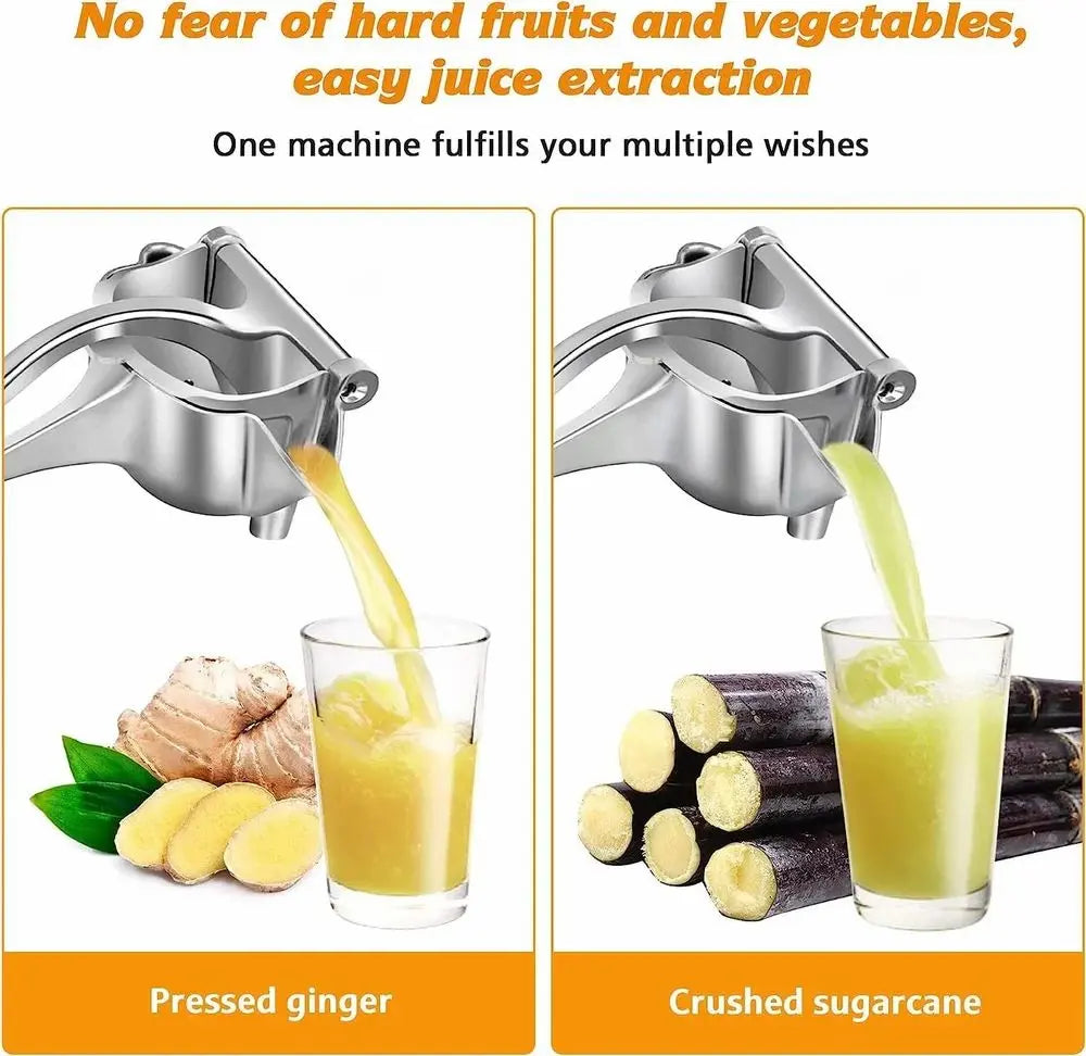 Fruit Press Juicer TrendTekk