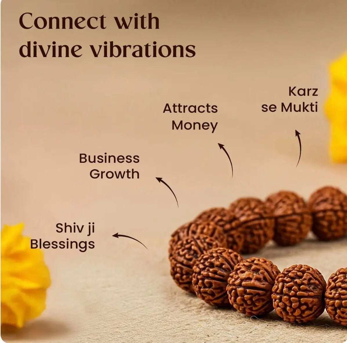 7 Mukhi Rudraksha Bracelet khdkgx-re
